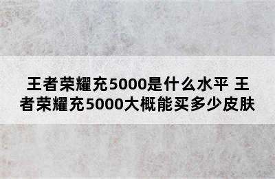 王者荣耀充5000是什么水平 王者荣耀充5000大概能买多少皮肤